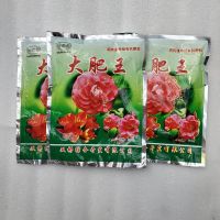 丽格海棠盆栽花卉重瓣带花苞室内盆栽四季开花玫瑰海棠带花苞发货 大肥王3包 原盆发货