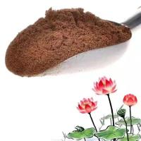 小微型碗莲种藕荷花苗多年生喜阳四季藕鞭苗四季栽 种碗莲专用荷塘泥1公斤