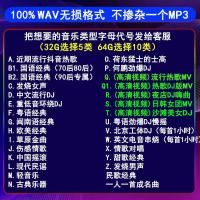 车载无损音乐u盘WAV新歌流行歌曲高音质车用经典老歌DJ重低音优盘 32G WAV无损 任选5个风格