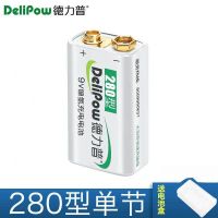 德力普9v充电电池套装5号充电器通用电子词典万能表麦克风九伏9号 单节9v电池