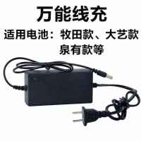 大艺电扳手充电器A3插头通用款冲电器48V6000毫安/88F/万能线充 万能线充