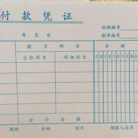 10本付款凭证70克付款申请书付款申请单财务会计凭证财务专用凭证 10本付款凭证 单联