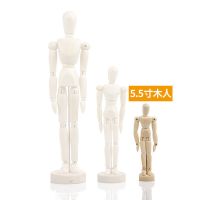柏伦斯漫画24cm木人模型木头人30cm摆件木手人偶木偶人人体模型 5.5英寸[14cm]木人