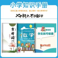 小升初毕业总复习全解教材资料书语文数学英语小学六年级考点复习 小升初毕业总复习手册3本
