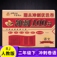 期末冲刺100分 二年级下册试卷语文数学卷子同步人教版课本练习题 二年级下册 语文