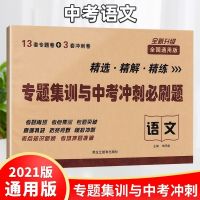 2021中考冲刺名校模拟卷语数英物化试卷通用版九年级总复习辅导 语文[专题集训]