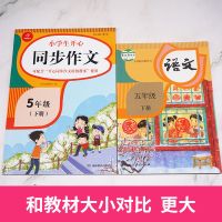同步作文五年级上册人教部编版同步作文特级教案小学五年级作文书 同步作文 五年级 下册
