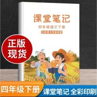 课堂笔记小学三年级下册语文知识点归纳同步部编人教版课本彩印版 课堂笔记【四年级下册】彩色版