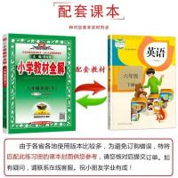 2021 小学教材全解六年级下册语文数学英语pep部编人教版RJ北师版 教材全解六年级下册 任意搭配,增加数量