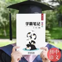 学霸笔记全套初中复习资料提分笔记高中衡水中学手写笔记九年级 初中版 语文