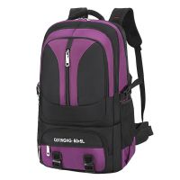 85升超大容量旅行背包男女双肩包户外登山包65升旅游行李包特大包 紫色65升