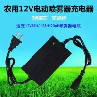 摩托车电瓶充电器12v通用型铅酸蓄电池踏板摩托车12伏智能充电器 电动喷雾器12v铅酸