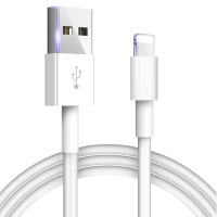 苹果充电器iPhone6/7/8XR数据线ipad4MINI平板快充充电头充电线 1米数据线（1条）
