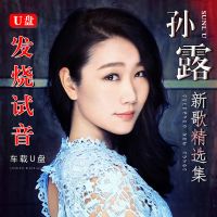 孙露歌曲U盘无损发烧音乐MP3寂寞情人 午夜忘寝 怎样遇见你音视频 512MB孙露歌曲 80首