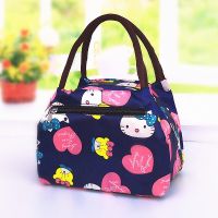 女包帆布手提包加厚防水便当包妈咪小布包牛津布手拎妈妈包午餐袋 三拉链-KT猫