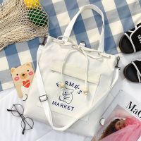 2021新款帆布包女学生单肩手提包韩版双肩文艺简约百搭ins斜挎包 双拉链 F A 白色 无挂件