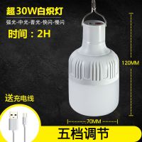 充电灯泡家用停电应急灯夜市地摊灯无线移动露营灯超亮LED帐篷灯 30W仅配充电线