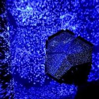 大人的科学星空灯浪漫星座投影仪满天星安睡灯创意送女生生日礼物 四季星空灯(蓝白黄)(送底盖)