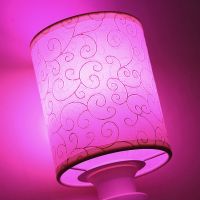 led插电情趣小夜灯床头遥控情侣调情变色氛围灯卧室浪漫夫妻台灯 手动开关 蓝花-白光