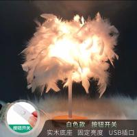 台灯床头柜灯卧室创意浪漫北欧现代小夜灯结婚房温馨装饰台灯羽毛 白色羽毛固定开关