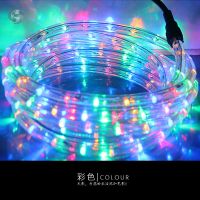 彩灯带LED彩灯串灯闪灯户外防水节日婚庆装饰灯七彩变色霓虹灯条 圆二线4彩常亮10米+插头
