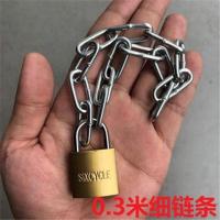 链条锁防盗链子锁防剪铁链锁三轮车自行车摩托车锁电瓶车链条挂锁 0.3米长3MM链条+【长挂锁】