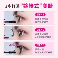 Mistine蜜丝婷4D双头睫毛膏女 防水纤长卷翘不晕染5.5g