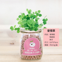 生日礼物女生送同学桌面水培陶碳球防辐射迷你小盆栽送闺蜜礼物女 爱情草(送牛皮纸手提袋)