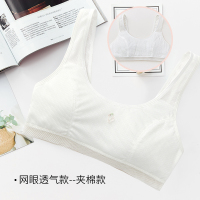 女童内衣小背心发育期9-12岁10大童胸罩13文胸小学生儿童女孩15夏 Q1013A白色 A75(M)