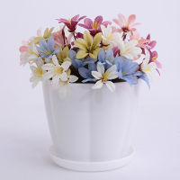 彩色塑料大号花盆室内阳台盆栽绿萝植物仿陶瓷多肉创意圆形小花盆 花瓣盆（白色） 小号10个[口径11CM]