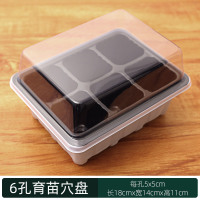 扦插育苗穴盘育苗神器专用盆营养杯塑料钵长方形托盘芽菜盒箱苗盘 6孔育苗穴盘1个