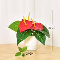 仿真绿植物盆栽塑料仿真花假花摆设家居客厅电视柜茶几装饰品摆件 小白盆红掌【送石子】