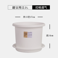 四季deepot加仑花盆大号北欧简约青山控根盆绿萝月季塑料花盆清仓 白色5号(口径17cm) 四季盆[1个盆]无托