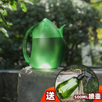 洛沃施浇花壶塑料水壶新款园艺养花盆栽花洒壶家用多肉小型浇水壶 [经典玻璃色]赠500ml喷壶