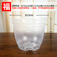 绿萝花盆套多肉塑料花盆家用创意水培盆吊兰室内懒人自动吸水花盆 福字透明外盆 5个装(口径17CM)