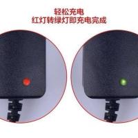 3.6V3.7V4.2V1A通用钓鱼灯夜钓灯强光手电筒头灯矿灯 18650充电器 4.2V通用 1米线