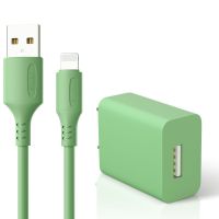 苹果充电器iPhone快充头6s/7plus通用X加长8数据线短ipad充电器线 高速快充[抹茶绿] 1.2米苹果线[不