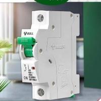 公牛漏电保护器开关1P2P空开断路器漏电家用电闸开关16A32A63A 1P16A断路保护器(空开)