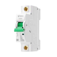 公牛空气开关家用单保险开关脱16A双匹漏电保护开关63断路器漏保 1P 16A