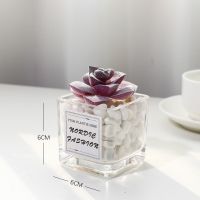 仿真绿植物多肉仙人掌小盆栽假花客厅摆件办公室桌面摆设迷你装饰 太和锦