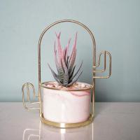 ins北欧仿真多肉仙人掌植物盆栽室内办公客厅绿植桌面摆件 粉色+小新斑(17.5cm)