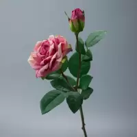 奥斯丁手感保湿玫瑰花仿真花束假花欧式装饰绢花客厅餐桌室内6支[7月20日发完] 2头玫红色(6支装)湿感