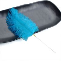 采耳孔雀羽毛鸵鸟毛扫脸按摩SPA打耳朵毛毛扫脖子外耳震酥毛棒 银针蓝色鸵鸟毛单支