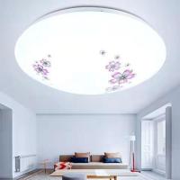 LED圆形吸顶灯卧室灯具简约现代客厅餐厅阳台过道节能灯超亮灯具 樱花款 25厘米白光24瓦