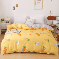 被套单件学生宿舍单双人1.5m1.8米床200x230水洗棉被罩被单ins风 开心萝卜 被套单品【60x110cm】