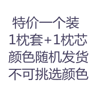 枕头一只装学生宿舍单人韩式可爱女生柔软双人家用一对枕芯带枕套 透明
