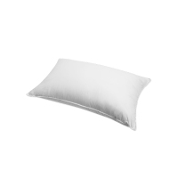 枕头单人带枕套套装一对枕芯学生宿舍一只装韩式女生情侣枕头芯 白色