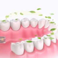 修真堂亮牙粉堂真修洁牙粉去渍去黄洗白刷牙齿