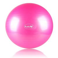 瑜伽按摩球加厚防爆儿童感统训练大龙球成人健身瑜珈球颗粒触感球 加厚光面粉色健身球 送气泵 按摩小球 55cm(身高150