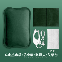 雅格防爆热水袋充电式暖宝宝女敷肚子可爱毛绒电热宝暖水袋暖手宝 翡翠绿[防爆热水袋+防尘布套]可拆洗(艾草热敷)